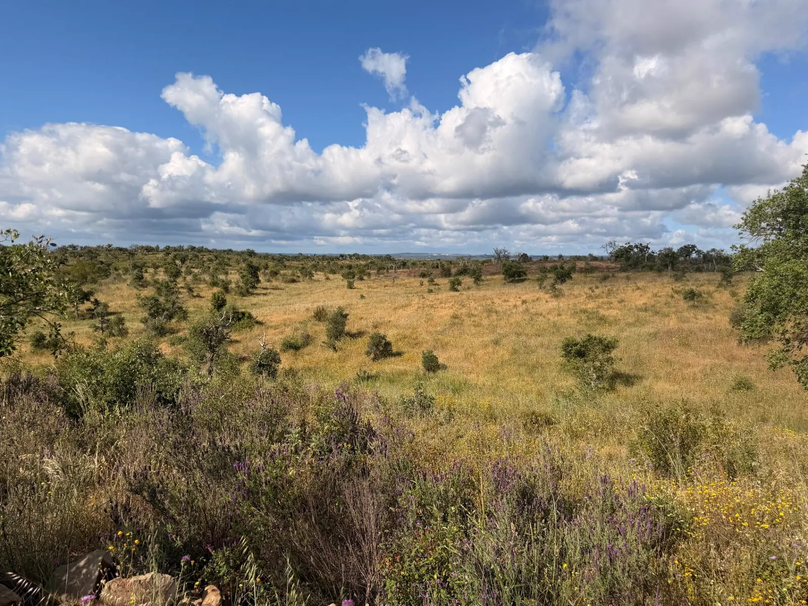 View across the land at Monte da Pedra da Água